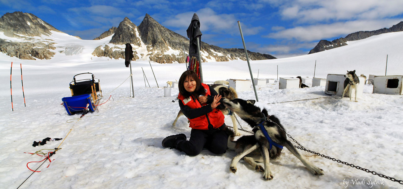 alaska-meeting-dogs-1