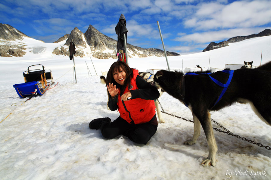 alaska-meeting-dogs-2