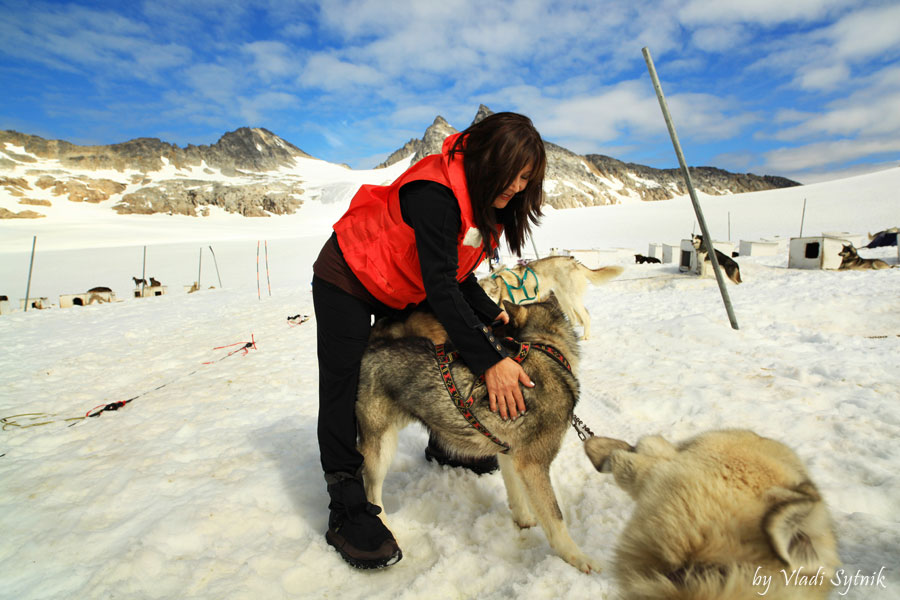 alaska-meeting-dogs-4