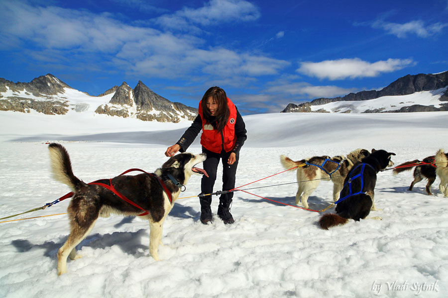 alaska-meeting-dogs-5