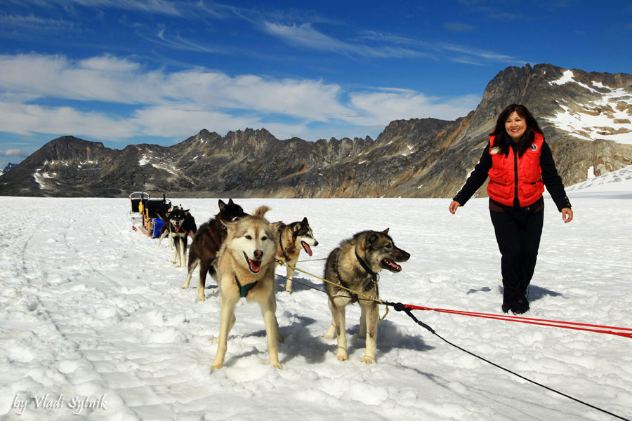 dog-sledding-6