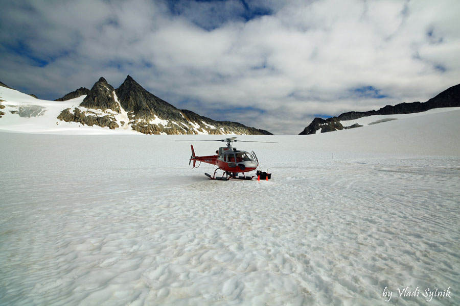 easy-dog-camp-heli