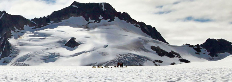 Alaska Dog Sledding