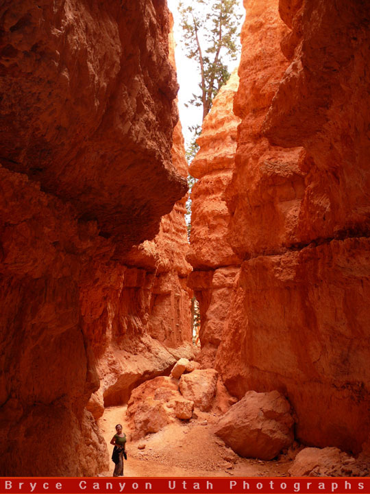Bryce Canyon