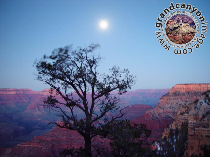 grand-canyon-on-full-moon-19