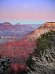 grand-canyon-on-full-moon-12
