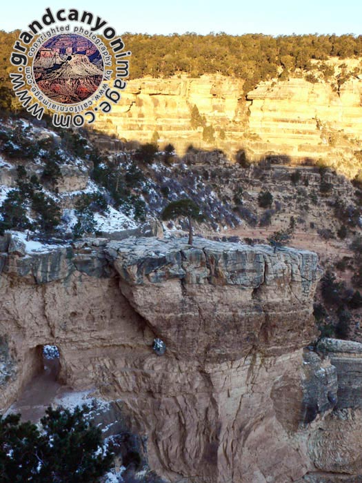 grand-canyon-winter-(01)