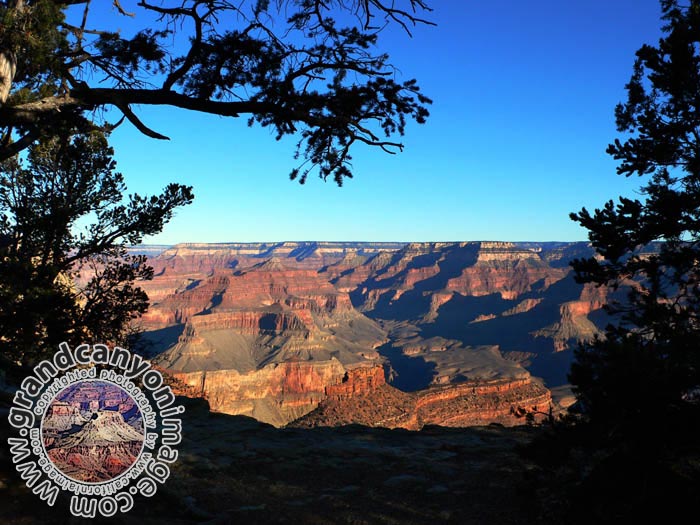 grand-canyon-winter-(16)