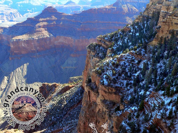 grand-canyon-winter-(19)