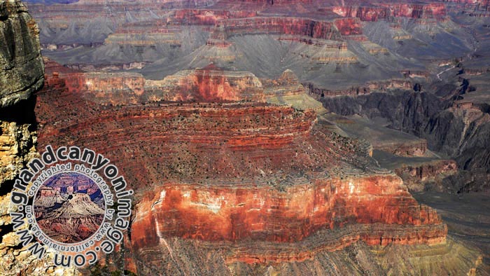 grand-canyon-winter-(21)