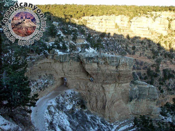 grand-canyon-winter-(23)