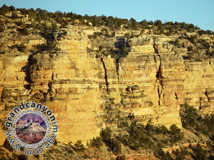 grand-canyon-winter-(27)