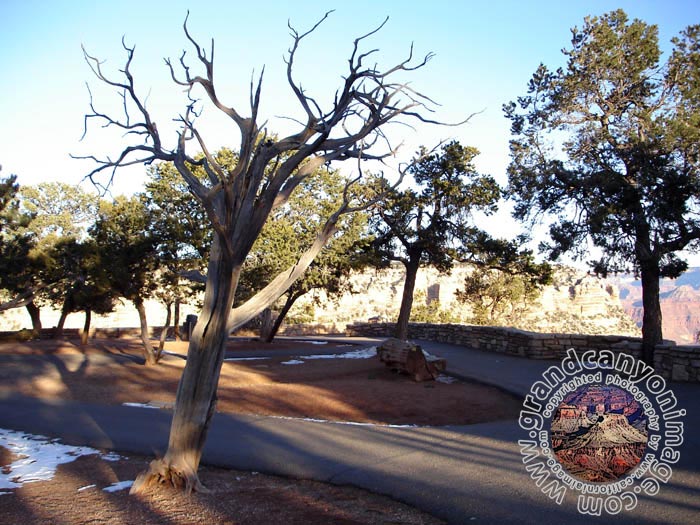 grand-canyon-winter-(36)