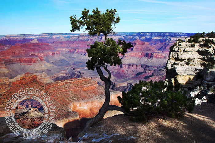 Grand-Canyon-Arizona