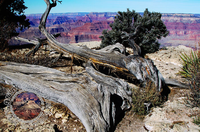 Grand-Canyon-Arizona