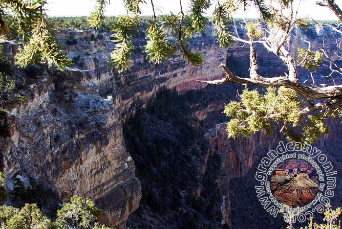 Grand-Canyon-Arizona