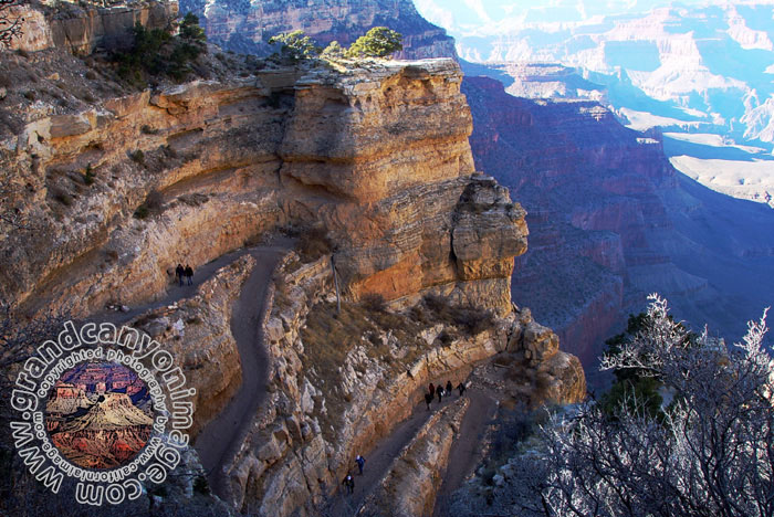Grand-Canyon-Arizona