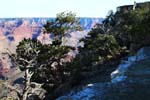 Grand-Canyon-Arizona