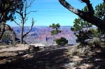 Grand-Canyon-Arizona