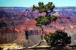 Grand-Canyon-Arizona