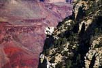 Grand-Canyon-Arizona