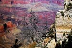 Grand-Canyon-Arizona