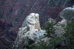 Grand-Canyon-Arizona