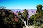 Grand-Canyon-Arizona