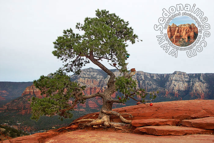 Sedona-Arizona