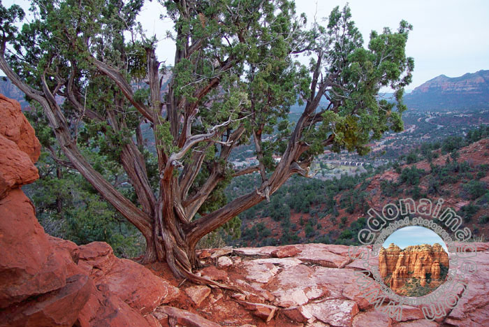 Sedona-Arizona