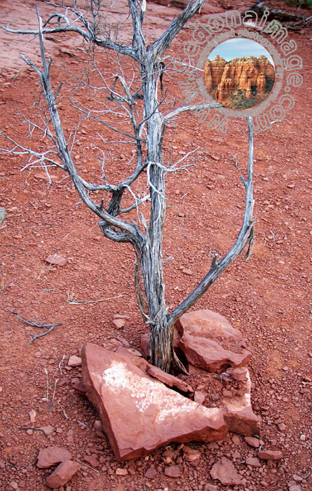 Sedona-Arizona