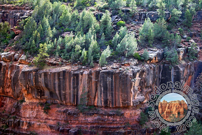 Sedona-Arizona
