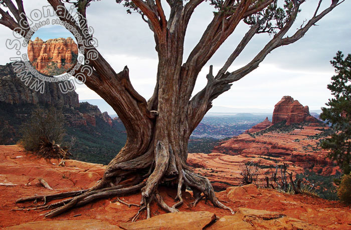 Sedona-Arizona