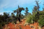 Sedona-Arizona