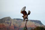 Sedona-Arizona