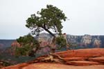 Sedona-Arizona