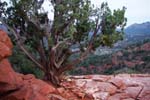 Sedona-Arizona