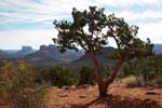 Sedona-Arizona