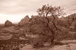 Sedona-Arizona