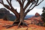 Sedona-Arizona