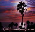 California Design