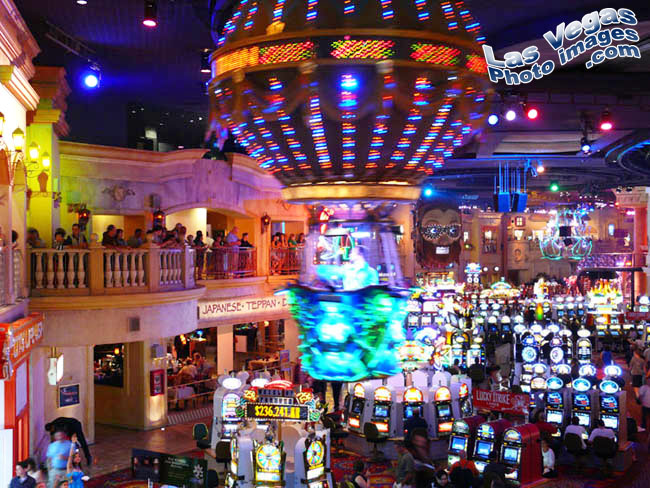 wild_show_rio_las_vegas-2