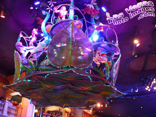 wild_show_rio_las_vegas-4