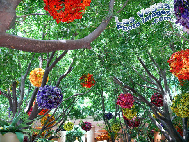 wynn_in_garden_las_vegas-2