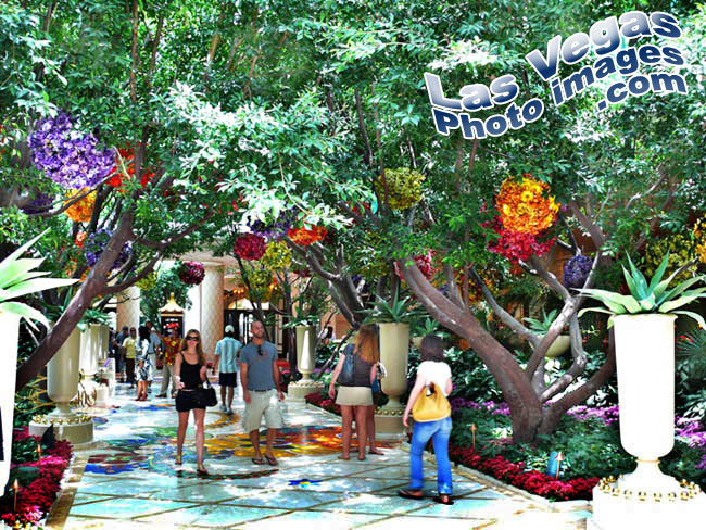 wynn_in_garden_las_vegas-4