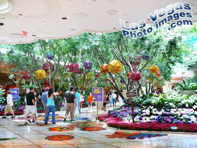 wynn_in_garden_las_vegas-5