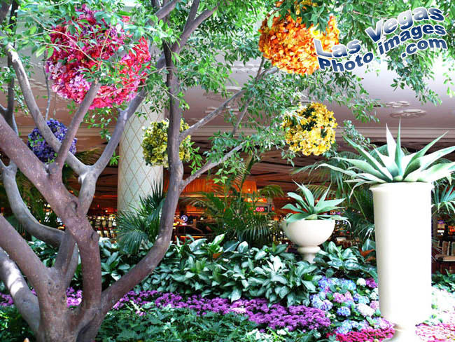 wynn_in_garden_las_vegas