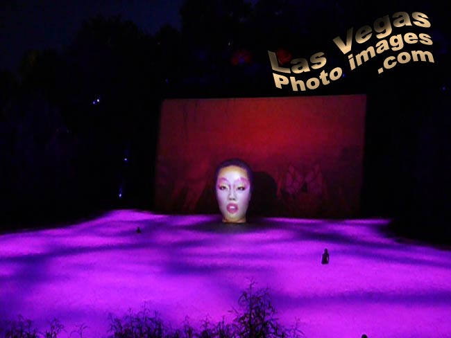 wynn_the_show_las_vegas-6