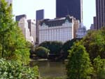 New-York-Central-Park-NYC-1
