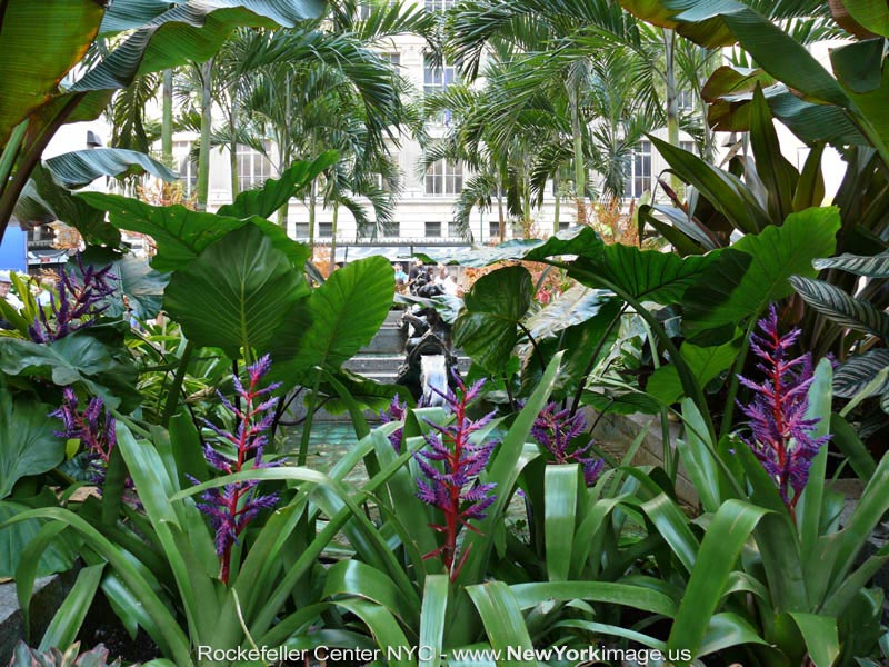 New-York-Rockefeller-NYC-3
